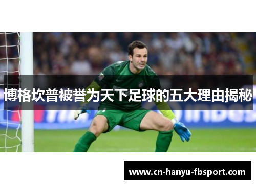 博格坎普被誉为天下足球的五大理由揭秘