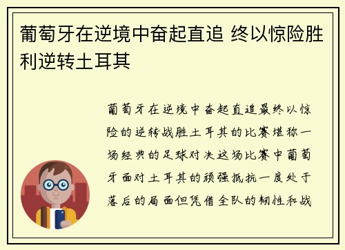 葡萄牙在逆境中奋起直追 终以惊险胜利逆转土耳其