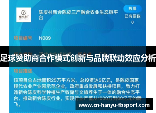 足球赞助商合作模式创新与品牌联动效应分析