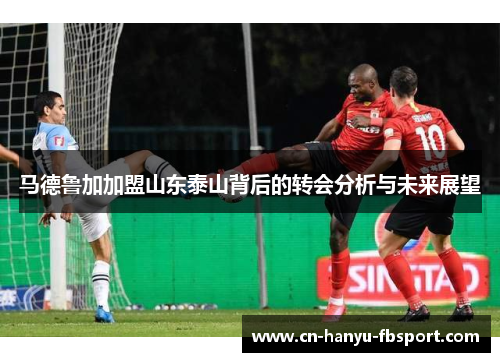 马德鲁加加盟山东泰山背后的转会分析与未来展望